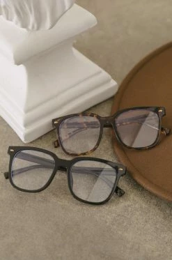 IF Clear Oasis - Tortoise Accessories