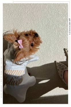 MSLOLA Mommy's Motivation - White