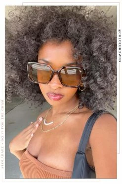 IF City Vision - Tortoise