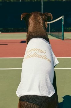 MSLOLA Mommy's Motivation - White