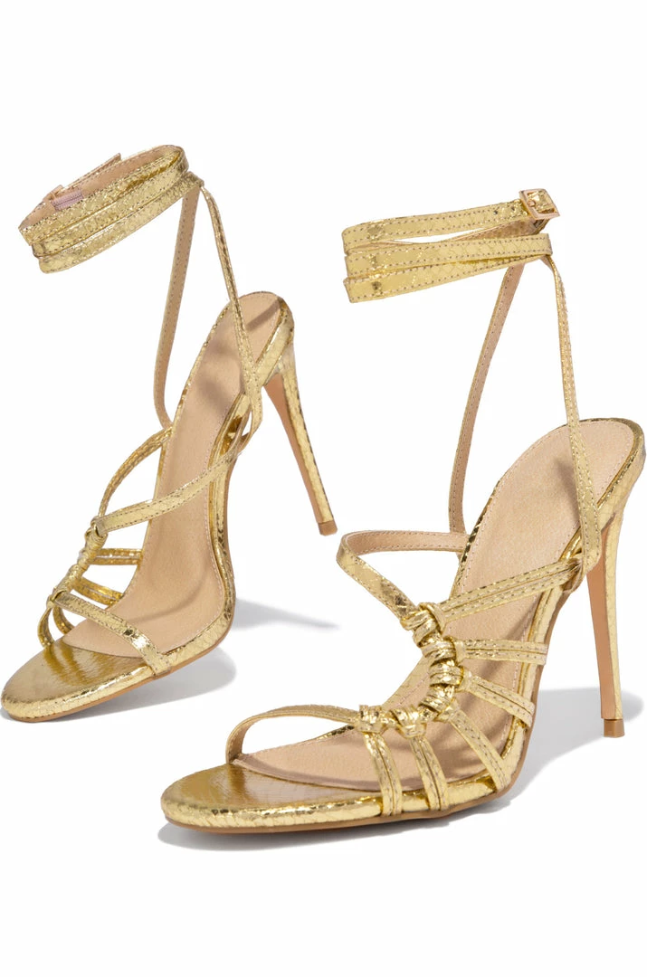 OLVJAY Rosella - Gold