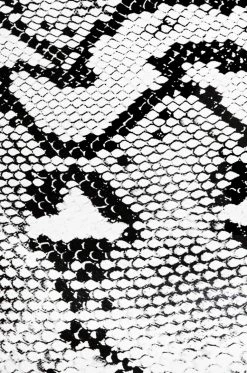 SOME Shoes Big City Dreams - Snake