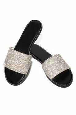 WDIVA Island Hopping - Silver