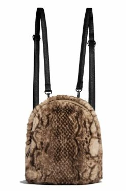 Paris Nights - Snake