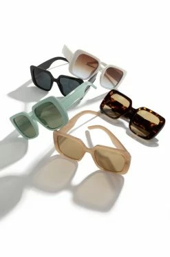 IF City Vision - Tortoise