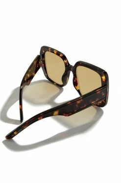 IF City Vision - Tortoise